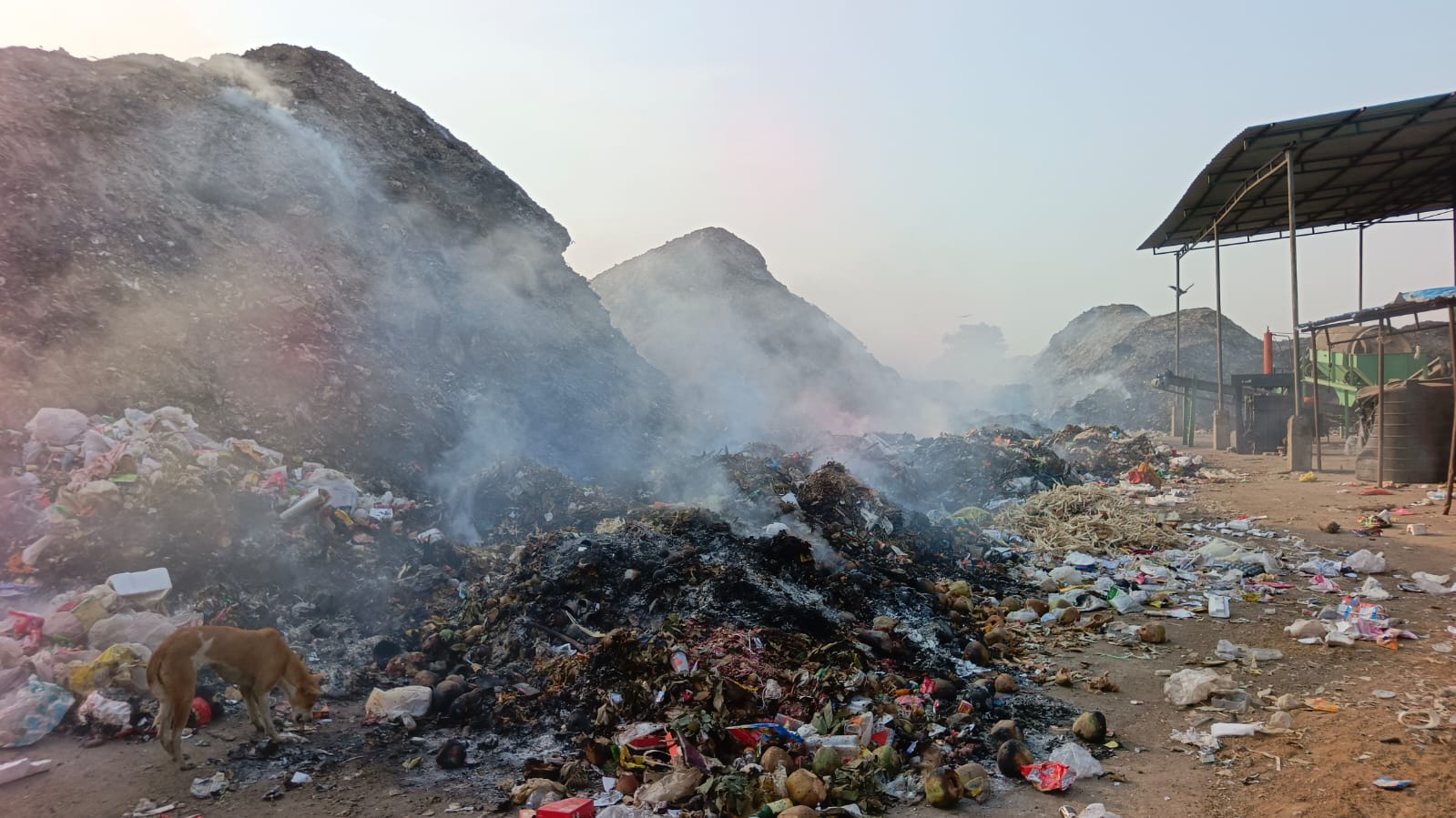 hamarbani image