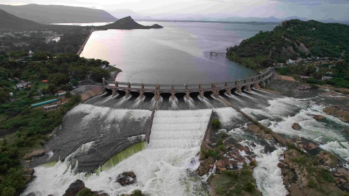 hamarbani image
