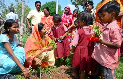 hamarbani image