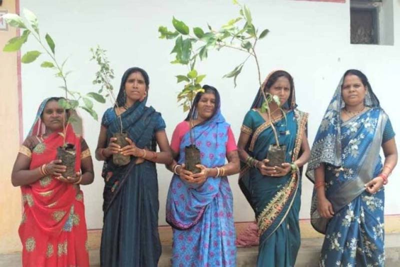 hamarbani image