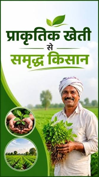 hamarbani image