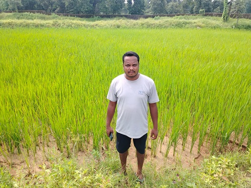 hamarbani image