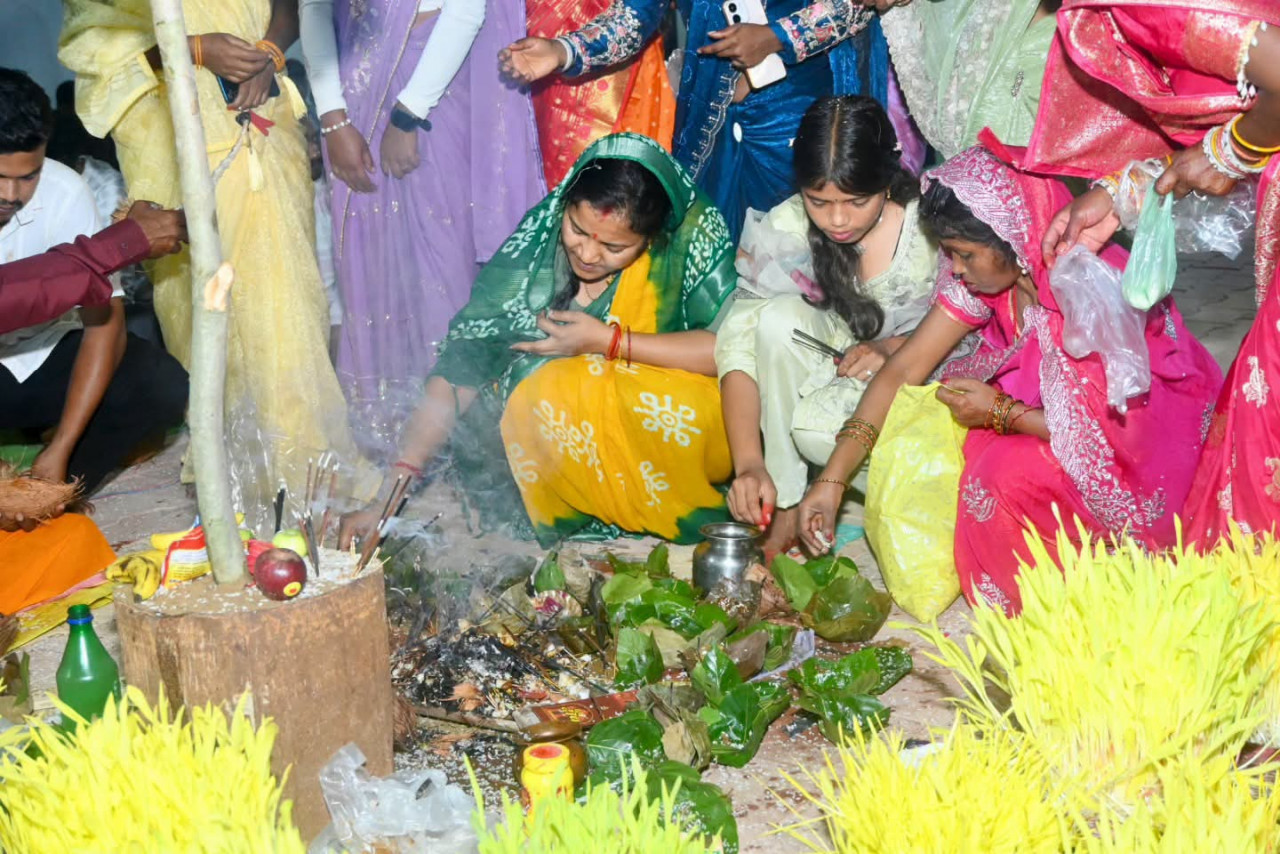 hamarbani image