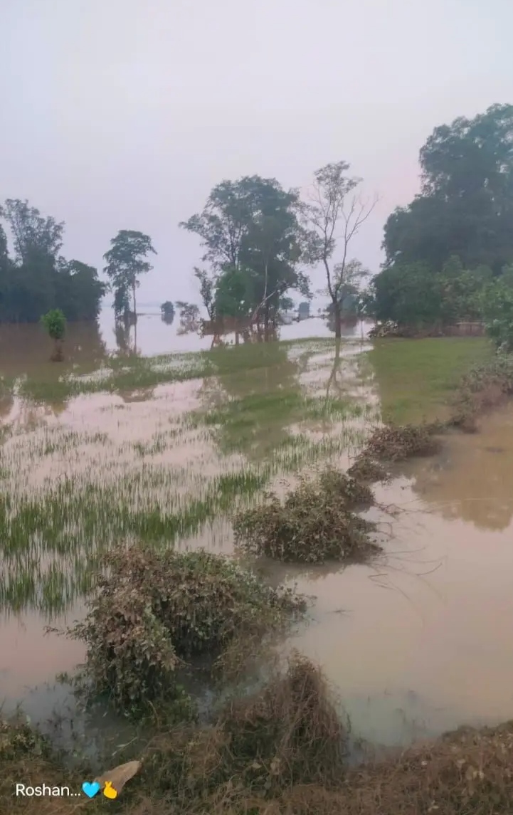 hamarbani image