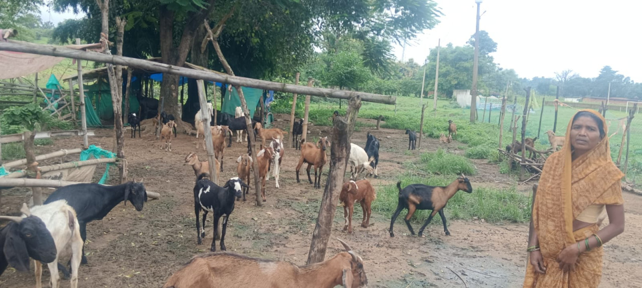hamarbani image