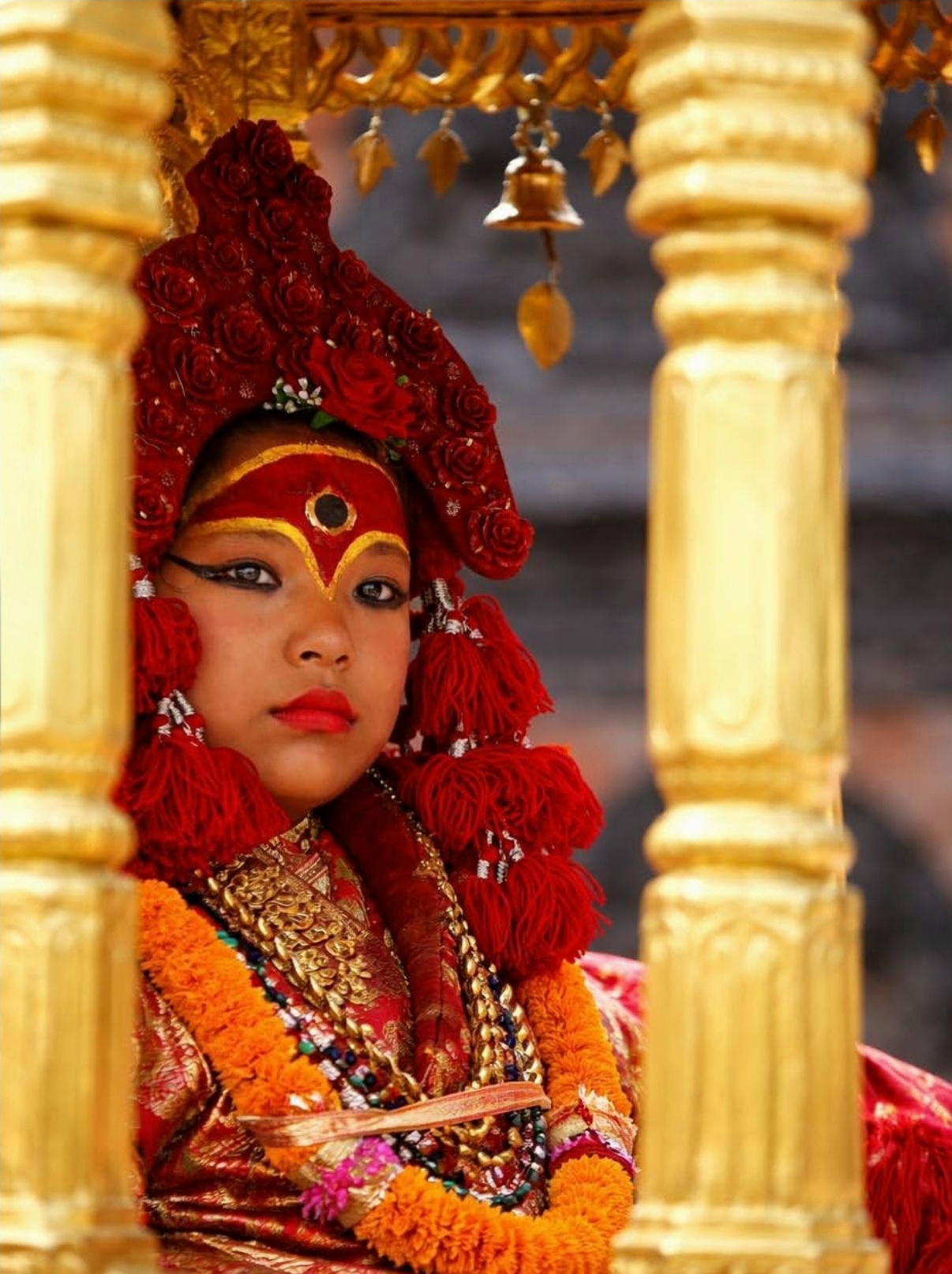 hamarbani image
