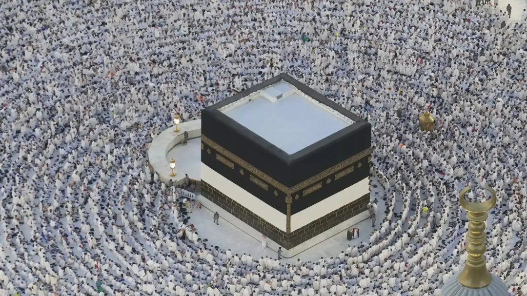 hamarbani image