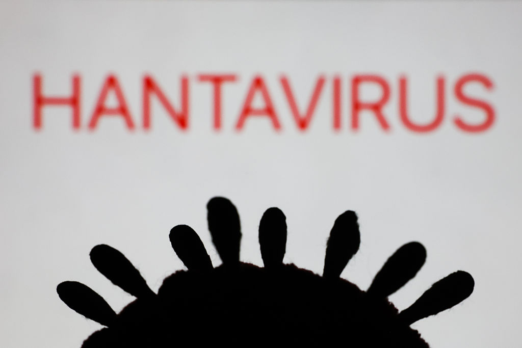 hamarbani image