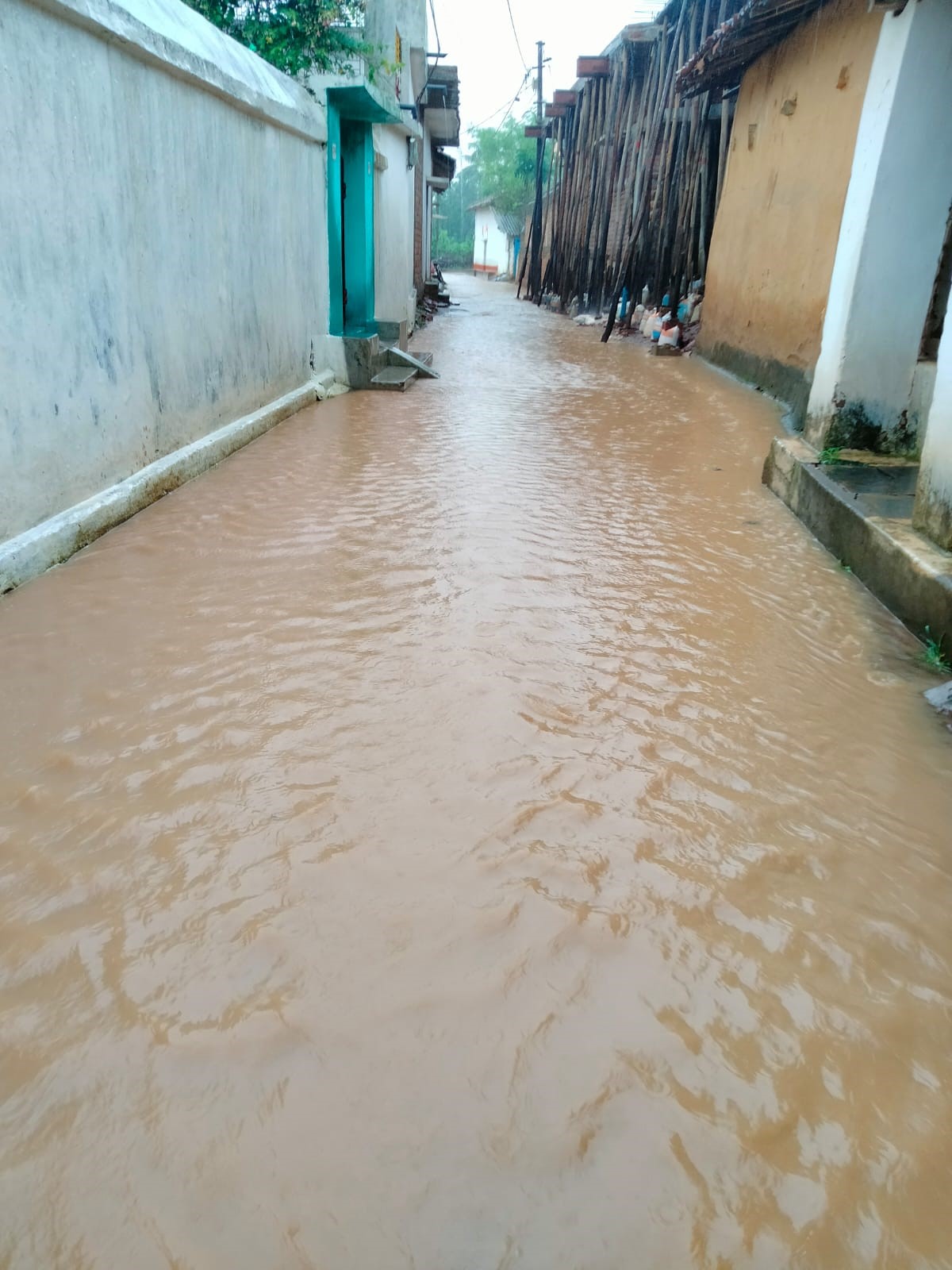 hamarbani image