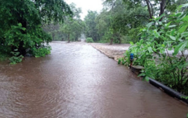 hamarbani image