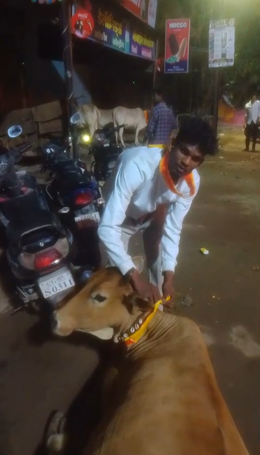 hamarbani image