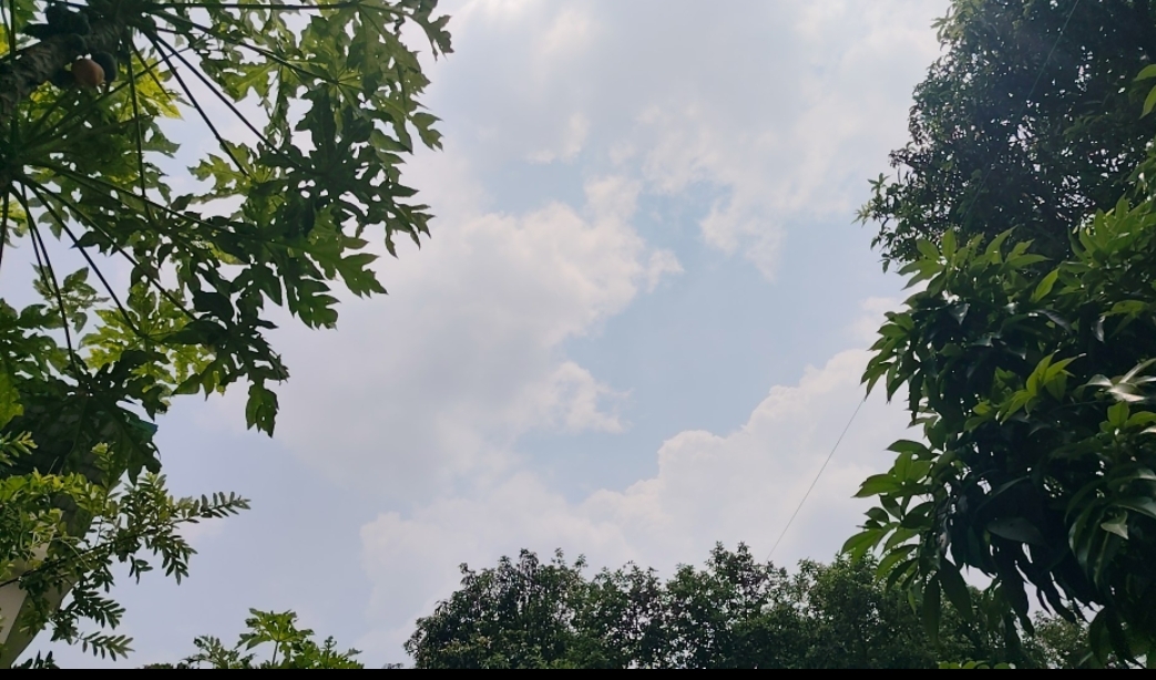 hamarbani image