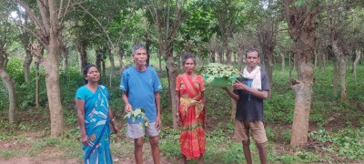 hamarbani image