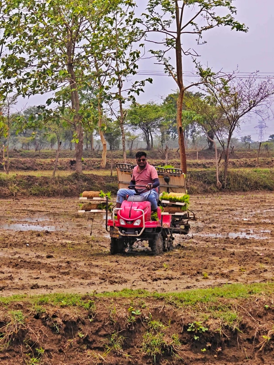 hamarbani image