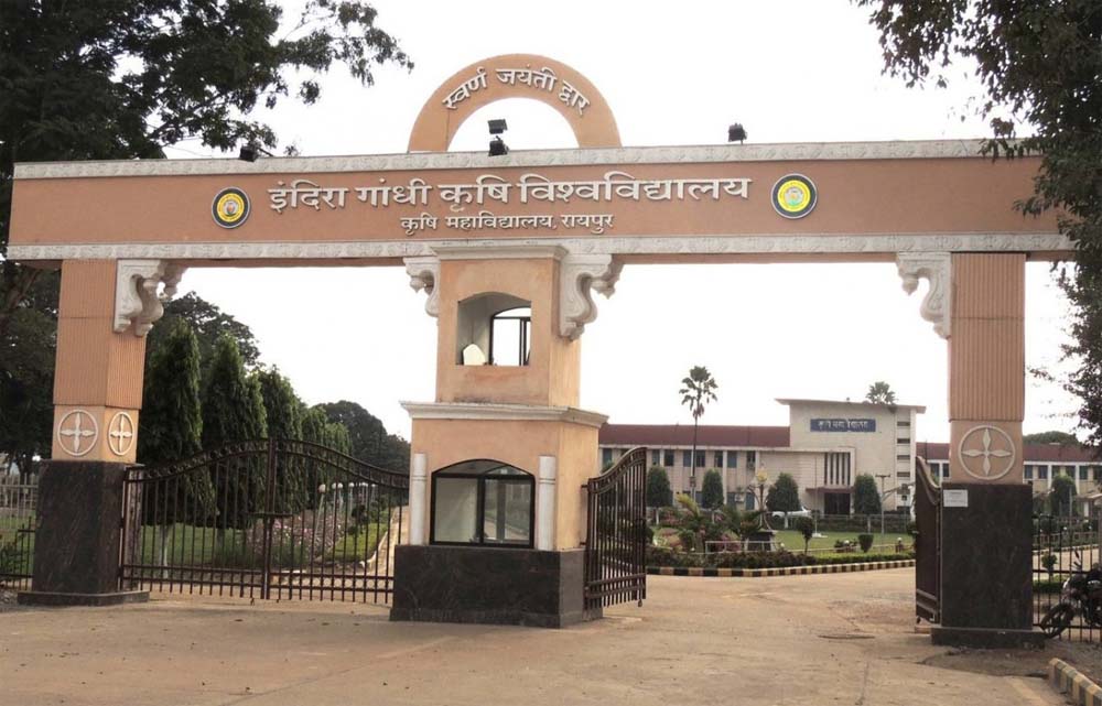hamarbani image