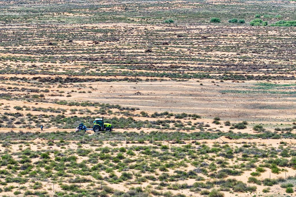 hamarbani image