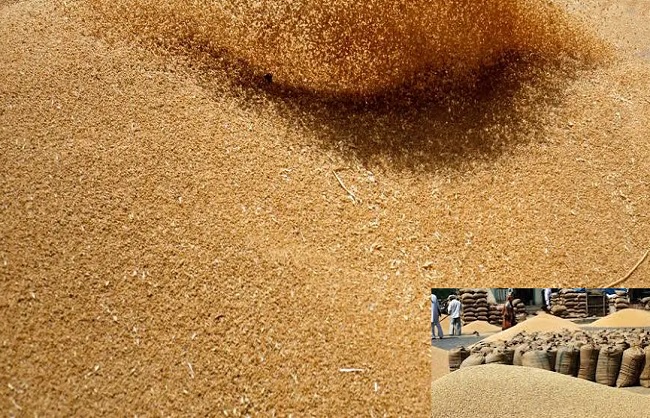 hamarbani image