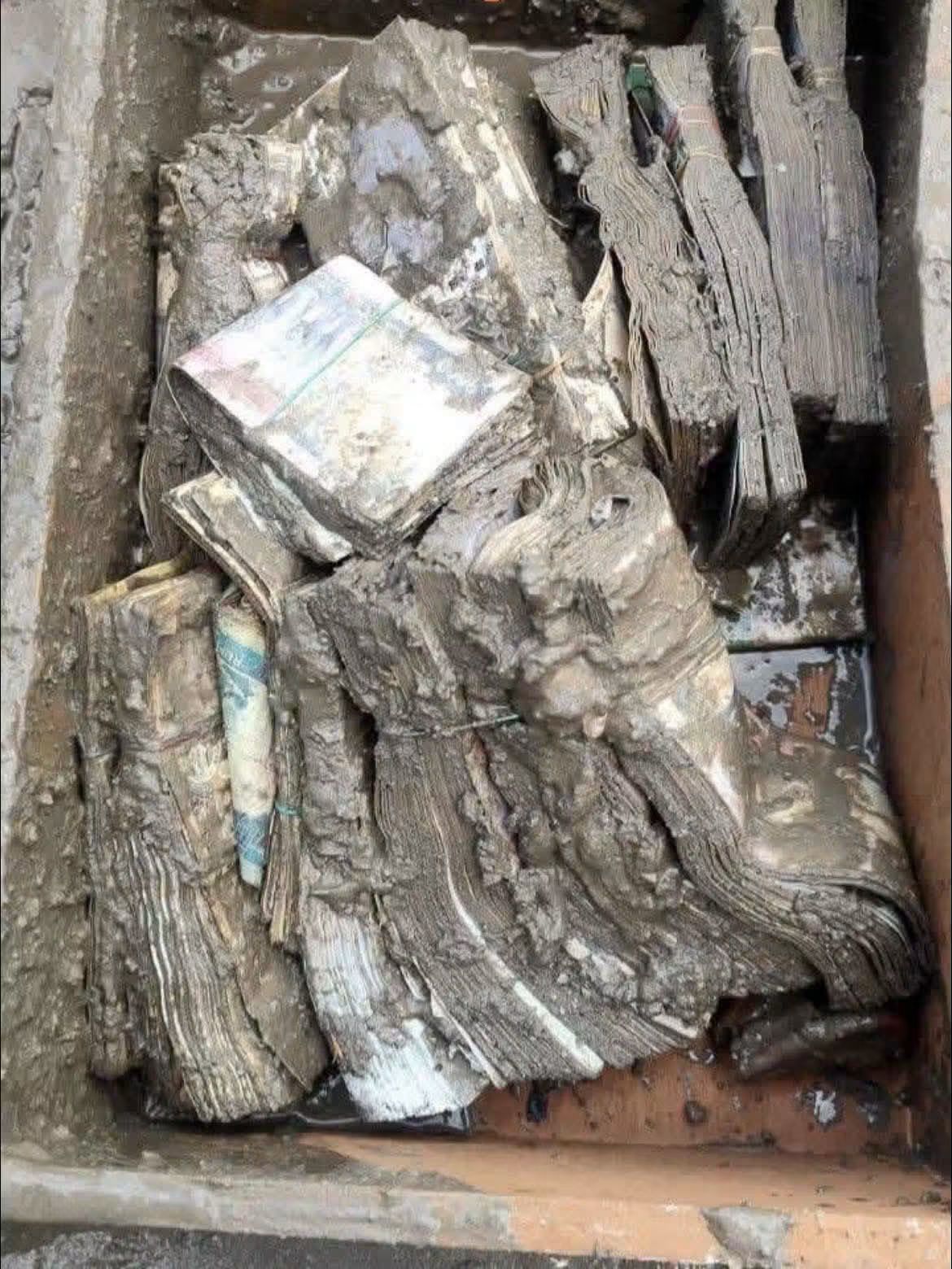 hamarbani image
