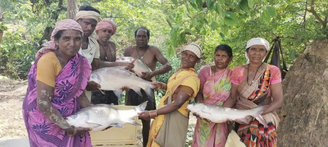 hamarbani image