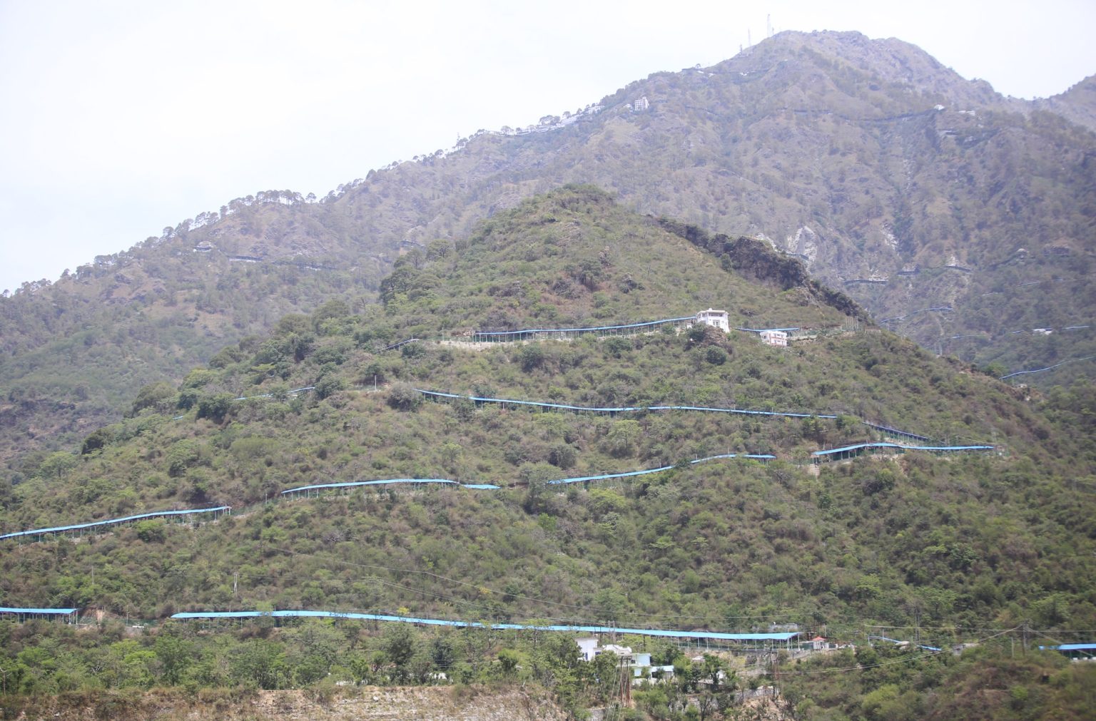 hamarbani image