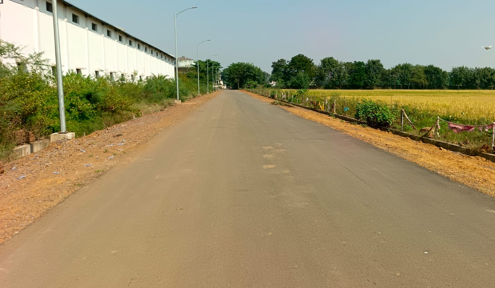 hamarbani image