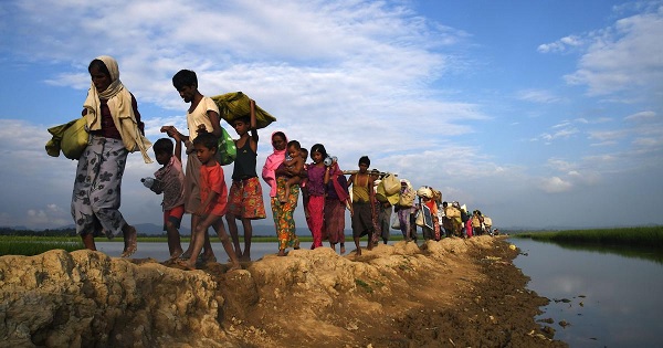 hamarbani image